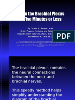 Brachial Plex How To