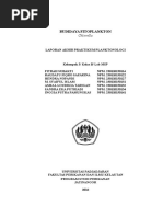 Download laprak chlorella by Syaiful Islam SN329367822 doc pdf