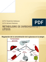 Metabolismo de Carbohidratos Y Lípidos: Q.F.B. Rosalinda Velázquez Q.F.B. Adriana Pastrana