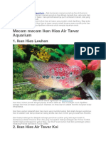 Ikan Hias Air Tawar Aquarium