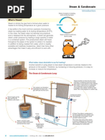 SteamTraps PDF