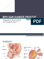 BPH Dan Kanker Prostat