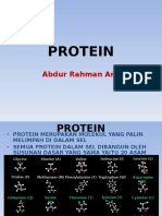 Protein