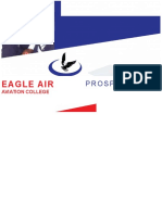 Eagle Air: Prospectus