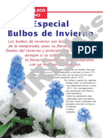 Bulbos_de_invierno.pdf