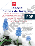 Bulbos de Invierno PDF