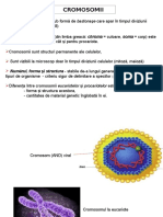 GENETICA GEN curs II cromosomul la procariotele acelulare.ppt