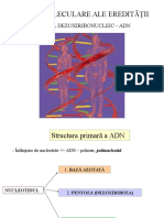 Structura Primara Si Secundara A ADN, Curs VI, VII