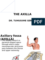 The Axilla