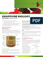 MVWGG Fact Sheet - Grapevine Biology