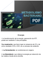 La Forma La Que El Organismo Obtiene Su Energía