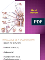 curs 13 nervi cranieni migrena.pdf