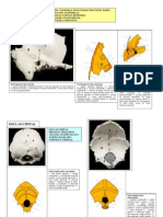 Lp7 Sem2 Burcin - Norestriction