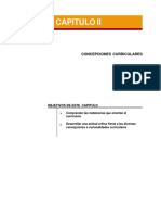 Concepciones Curriculares PDF