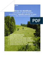 Ghid_de_identificare_a_principalelor_specii_de_buruieni_ce_alcatuiesc_vegetatia_nedorita_pe_pajisti_.pdf