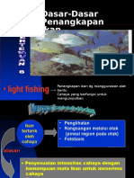 2. Light Fishing