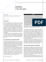 Apoptosis, Cell Cycle and Proliferation