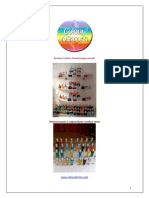 Sistem zdravljenja z metodo Colourmirrors.pdf