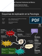 Principales Esquemas de Explicacion en La Psicologia