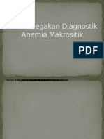 Alur Penegakan Diagnosos Anemia Makrositik