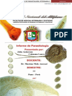 Atlas Informe Parasitologia Veterinaria PDF