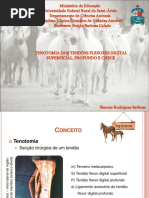 160839304 Trabalho de CCGA