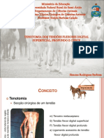 160839304-Trabalho-de-CCGA.pdf