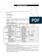 Tacna.pdf