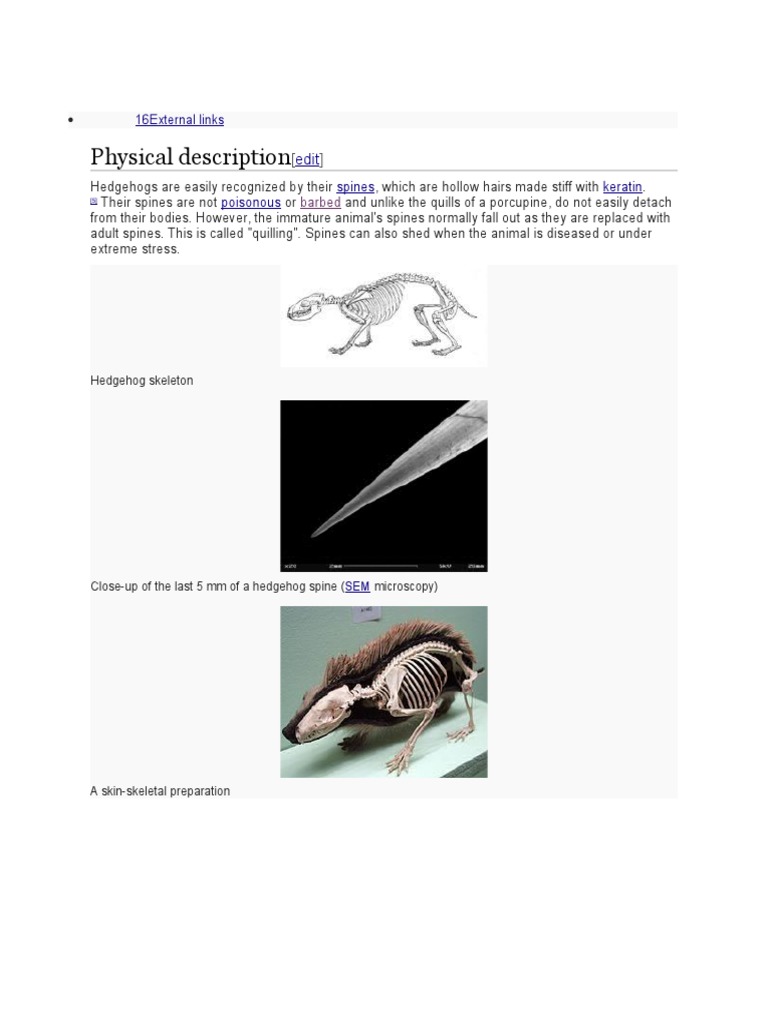 Physical Description: 16external Links | PDF | Nature | Wellness