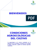 Condiciones Agroecologicas y Manejo de La Nutricic3b3n Del Cultivo Del Plc3a1tano