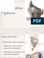 Neuropatiasopticas 150914042816 Lva1 App6891