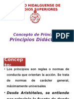 Principios Didacticos