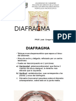 DIAFRAGMA