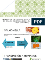 salmonellosis en huevos.pptx