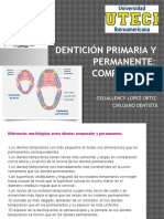 Diferencias dentición primaria vs permanente