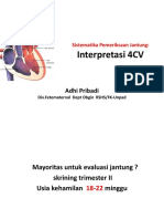 Interpretasi 4CV