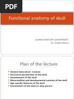 Anatomy of the Skull and Facial Bones | PDF | Skull | Human Nose