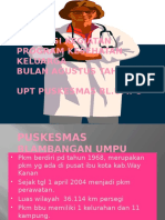 ULVA_Evaluasi Kegiatan KIA AGUSTUS 2016 UPT PKM BBU.pptx