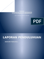 Ppt Pkkt Dokkep Ners