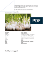 Klasifikasi Dan Morfologi Bawang Putih