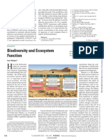 Artigo - Biodiversity and Ecosystem Funtion.pdf