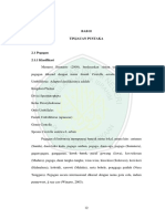 Biosintetis Alkaloid PDF