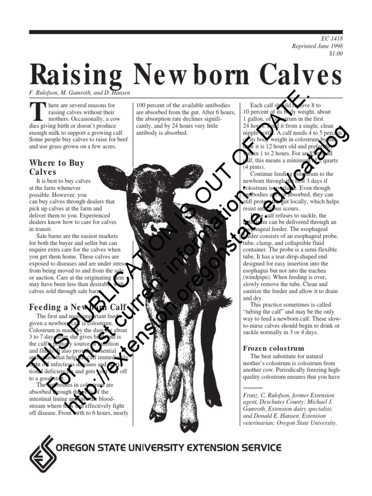 Raising Newborn Calves OF Date PDF Calf Weaning