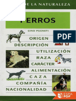 Perros - Gino Pugneti