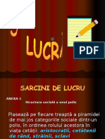 Lucru Pe Grupe