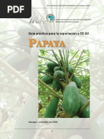 IICA2006Papaya.pdf
