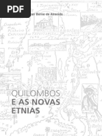 Quilombos e Novas Etnias