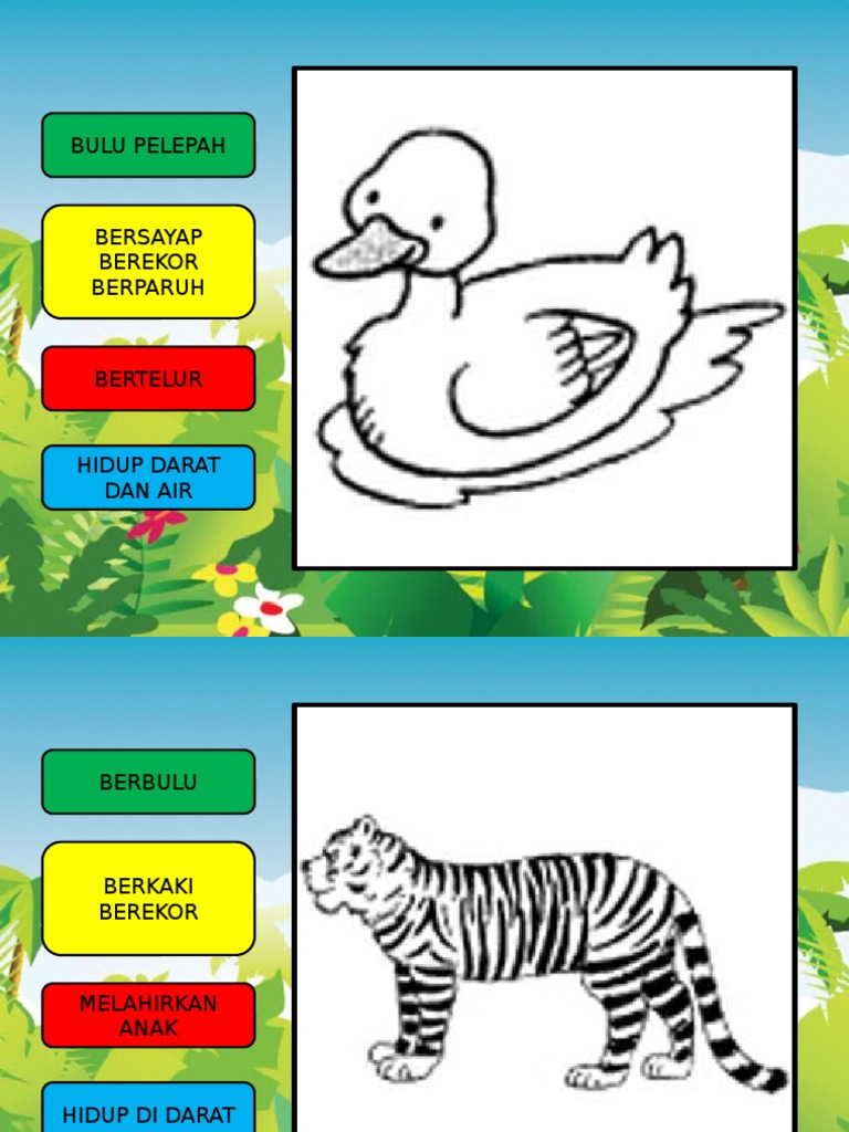 Mengenal Ciri Haiwan Pdf