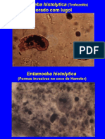 Atlas parasitologia veterinária I.pdf