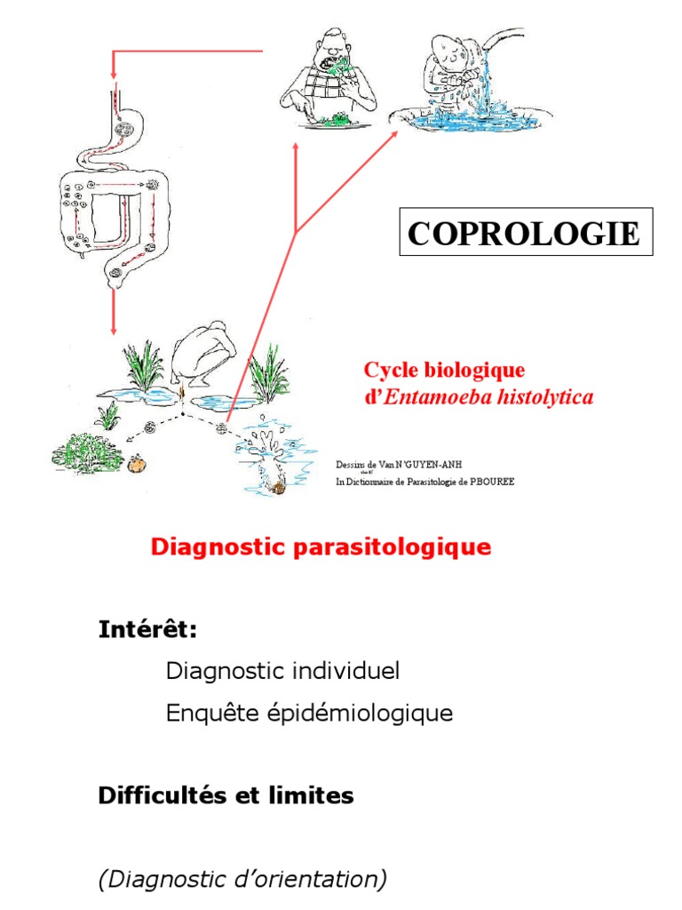 Analyse coprologique des parasites | PDF | Toilettes publiques ...